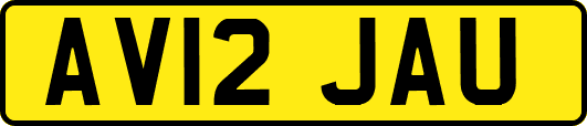 AV12JAU