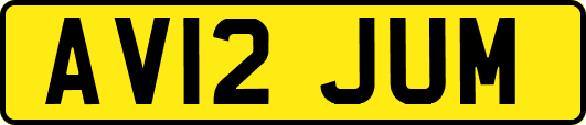 AV12JUM