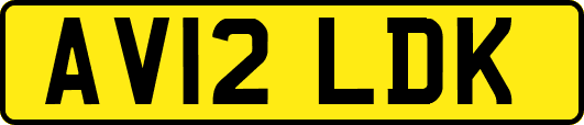 AV12LDK