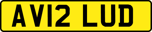 AV12LUD