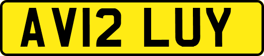 AV12LUY