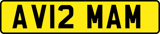 AV12MAM