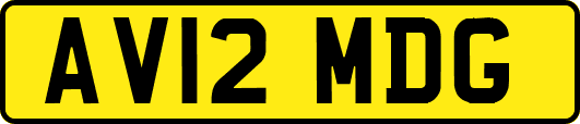 AV12MDG