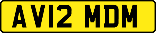 AV12MDM