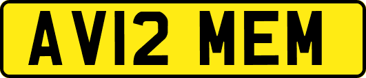 AV12MEM