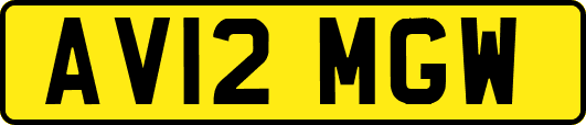 AV12MGW