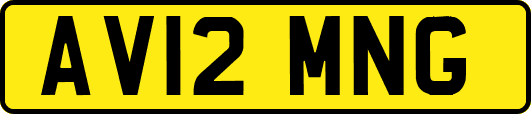 AV12MNG