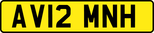 AV12MNH