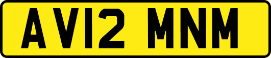 AV12MNM