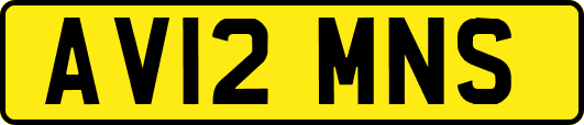 AV12MNS