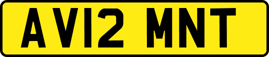 AV12MNT