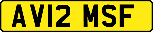AV12MSF