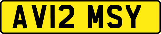 AV12MSY