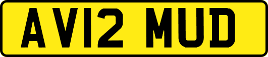 AV12MUD
