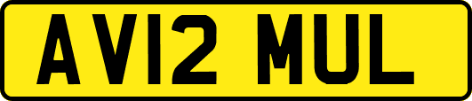 AV12MUL