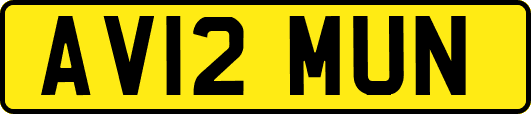 AV12MUN