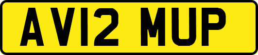 AV12MUP