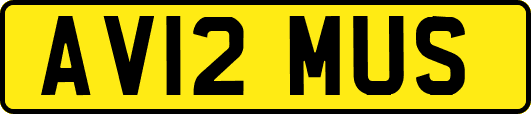 AV12MUS