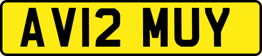 AV12MUY