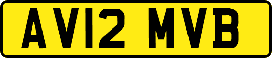 AV12MVB