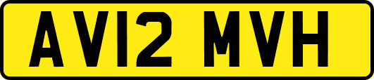 AV12MVH