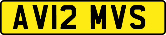 AV12MVS