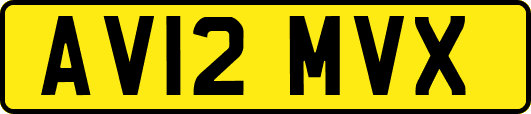 AV12MVX