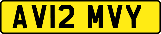 AV12MVY
