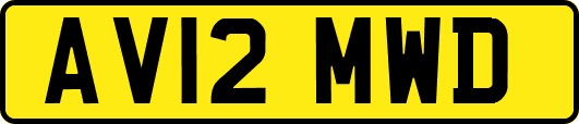 AV12MWD