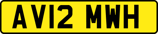 AV12MWH
