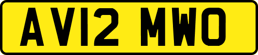 AV12MWO