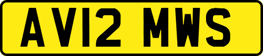 AV12MWS