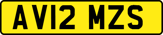AV12MZS