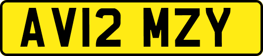 AV12MZY