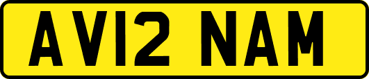 AV12NAM