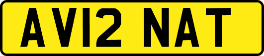 AV12NAT