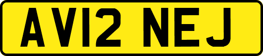 AV12NEJ