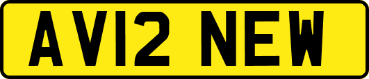 AV12NEW