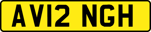 AV12NGH