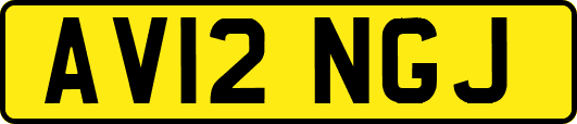 AV12NGJ