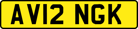 AV12NGK