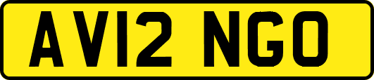 AV12NGO