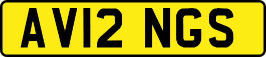 AV12NGS
