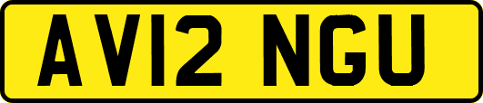 AV12NGU