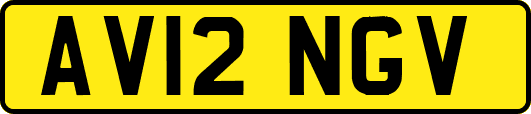 AV12NGV