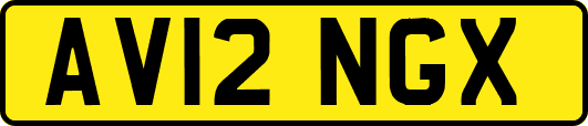 AV12NGX