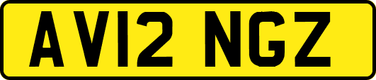 AV12NGZ