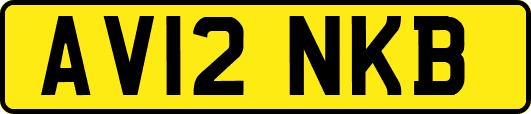 AV12NKB
