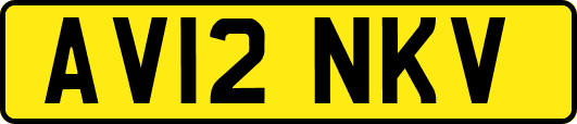 AV12NKV