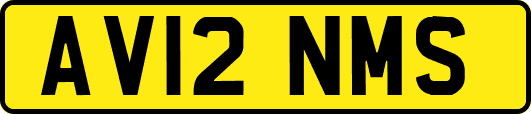 AV12NMS